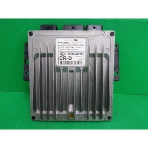 ECUs y Módulos de Computación Usados de Carnival 391014X710 - Product Image 1