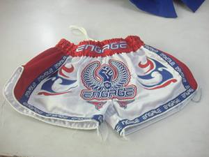 High-Quality Worsted Muay Thai Shorts for Kids Kick Boxing Pants - Kick Boxing Pants and Boxing Pants price - Product Image 3