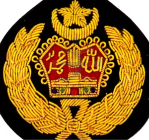 Fabricant professionnel de patchs brodés faits à la main avec des broderies complexes, des motifs personnalisés, une marque privée et des commandes d'exportation - Product Image 5
