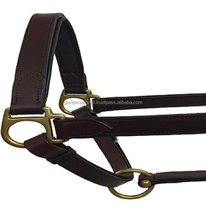 Double <b>Thick</b> Soft Padded Genine Leather Horse Halter with adjustable Crown Buckle and <b>Ring</b> Halter Horse - Product Image 5