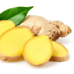 ขิงสดคุณภาพดี ราคาคุ้มค่า เก็บเกี่ยวสดใหม่ เหมาะสำหรับการส่งออก บรรจุภัณฑ์สำหรับการส่งออก และการค้าส่ง - Product Image 1