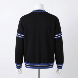 เสื้อสเวตเชิ้ตสีพื้นแบบเรียบ ป้องกันการเป็นขุย สำหรับฤดูใบไม้ร่วง สีน้ำเงินขาว แต่งแพทช์เชนีลลายกรีก ยี่ห้อ Phi Beta รุ่นขายดีที่สุด แบบสั่งทำได้ - Product Image 2