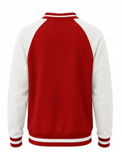 High Quality Alpha Cotton Fleece Embroidered Crew Neck Regular Fit Winter Sweatshirt Customized Sorority Pullover Breathable - Product Image 3