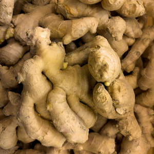 Gingembre frais du Vietnam – Racine entière pour les marchés internationaux - Product Image 2