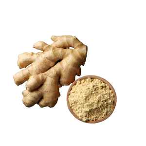 Vietnam Premium Organic Old <b>Ginger</b> Powder Food Grade Product with Custom Packaging and OEM Manufacturing - Product Image 1