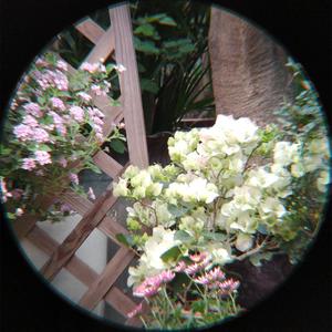 Telescopio de Observación Espacial de Alta Calidad de 42 mm con Múltiples Recubrimientos para Principiantes - Origen EE. UU. con 3 Años de Garantía - Product Image 5