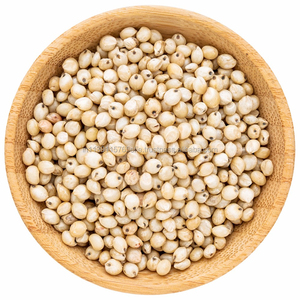 Graines de sorgho en vrac de qualité supérieure, stock frais, pour acheteurs B2B mondiaux, approvisionnement direct - Product Image 6