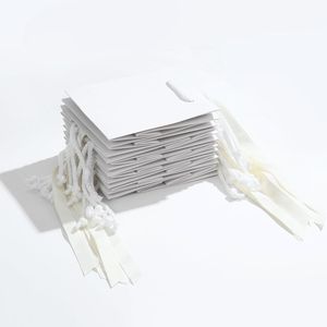 Confezione da 10 Sacchetti Regalo Promozionali in Carta Antigraffio con Manici a Nastro, Dimensioni 5.5x2.8x5.9 Pollici, per Piccole Imprese e Regali di Compleanno - Product Image 4