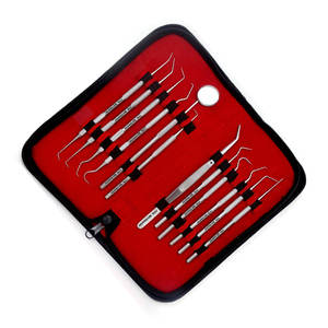 Kit d'hygiène buccale professionnel pour le nettoyage dentaire – Outils en acier inoxydable : cure-dents, miroir, pinces, détartreurs pour éliminer la plaque et les taches de tartre - Product Image 6