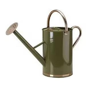 Arrosoir en métal au design élégant avec long bec pour le jardin - Product Image 4