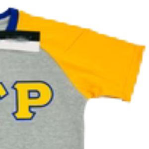 Chemise à manches longues grises Sigma Gamma Rho SGRho, T-shirt premium à lettres grecques bleu et or, pour femmes et unisexe - Product Image 4