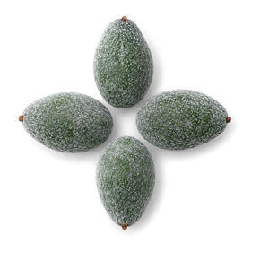 Precio de Fábrica, Delicioso, en Oferta, Aguacate Entero Congelado de la Mejor Calidad de Fábrica de Vietnam, Empacado en Bolsa de 5 kg - Product Image 1