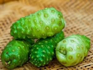 Fruits de Noni surgelés IQF du Vietnam, approvisionnement en vrac, fruits tropicaux - Product Image 1