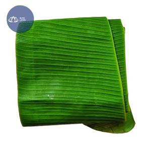 Hojas de Plátano Congeladas Ecológicas de Alta Calidad, Hojas Verdes Frescas, Suministro a Granel para Envoltura de Alimentos Tradicionales - Product Image 1