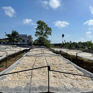 Escamas de Pescado Tilapia Secas Premium para la Producción de Colágeno - Alta Pureza y Secado al Sol/ Ms Lily Viet Delta - Product Image 1