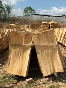 Chapa de Madera de Acacia Vietnamita 100% Natural, Corte Rotatorio, para Fabricación de Madera Contrachapada - Product Image 5