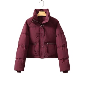 Veste bouffante d'hiver 2025 pour femmes, manches longues, col montant, fermeture à glissière. High Street Style Baggy Manteau court Poches à motifs - Product Image 2