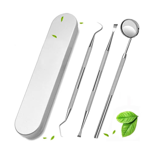 dental surgical instruments Dental <b>Tools</b> 3Pcs <b>Plaque</b> <b>Remover</b> Teeth Cleaning <b>Tools</b> Set German Stainless Steel Hygiene Kit - Product Image 1