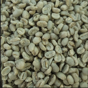 DHPONE Coffee Robusta S16 Green Coffee Beans AA Grade 100% Robusta 60kg PP/Jute <b>Bag</b> From Gia Lai Vietnam for <b>Roasting</b> - Product Image 2