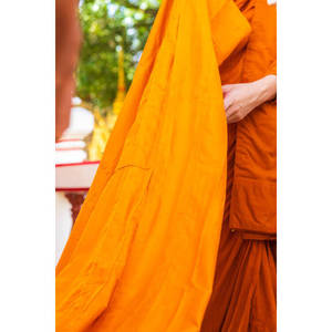 Tela de Tufting con Monjes Budistas, Vista Cercana, Tela Suave y Duradera para Manualidades, Hogar y Proyectos Artísticos - Product Image 2