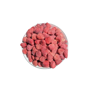 Trozos de Fresa Liofilizados Premium para Decoración de Yogur, Desayunos y Desarrollo de Productos de Aperitivos - Product Image 6