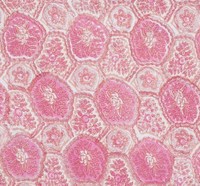 Serviettes carrées brodées à la main hautement personnalisées, 4 pièces, rose bonbon, motif floral indien, en coton imprimé à la main, pour mariage et maison