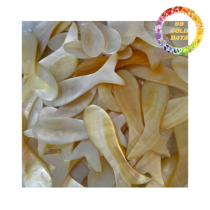 Cuchara de Concha Natural Brillante con Diseño Moderno y Lujoso, Ecológica, 99 Gold Data, para Restaurantes y Servicios de Catering - Product Image 3