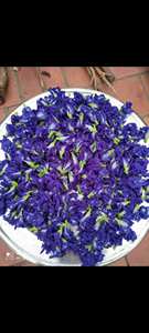 Fleur de pois papillon bleue, tisane séchée 100% naturelle et biologique, origine Vietnam, pour boissons changeantes de couleur - Product Image 4