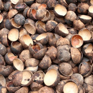 Coques de noix de coco brutes de qualité A, écologiques et premium (cassées du Tamil Nadu) 3-6 cm, matière première pour charbon actif, marque Seeniz Coco - Product Image 1
