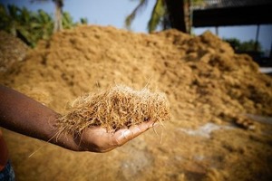 Bloque de Fibra de Coco sin Lavar, Sustrato de Coco Biodegradable y Ecológico para Jardinería, Horticultura y Paisajismo - Product Image 3