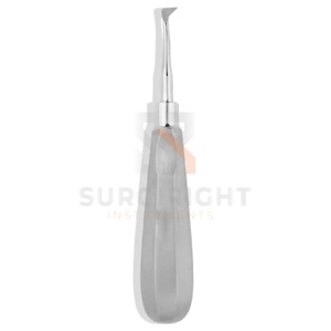 Elevador Dental Seldin Derecho 19cm, Instrumento de Extracción Dental de Acero Inoxidable Alemán, Certificado CE Clase I, Modelo Quirúrgico - Product Image 3