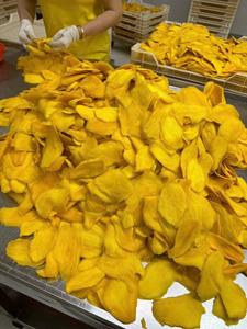 Tranches de mangue séchées, texture douce et sucrée, collation de fruits de qualité supérieure, procédé AD, marque 99GD, emballage sous vide, durée de conservation de 15 mois, vente en gros - Product Image 4