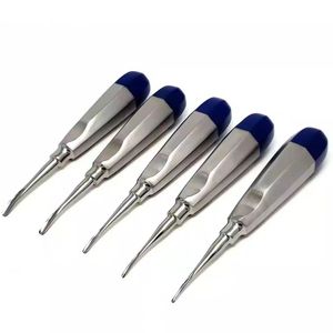 เครื่องมือถอนรากฟันปลายตรง สแตนเลสสตีล สำหรับการผ่าตัดถอนฟัน - Product Image 5