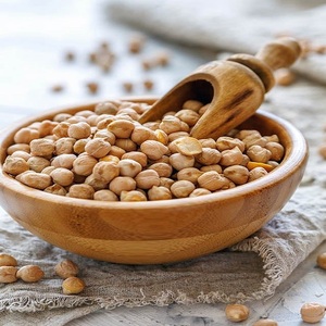 Garbanzos Kabuli Orgánicos de Primera Calidad para Exportación, 25 kg a Granel, Venta al por Mayor, Naturales, Secos, Ricos en Proteínas y Fibra, Envasados al Vacío - Product Image 5