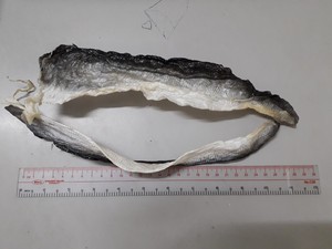 PRODUIT PHARE : Peau de poisson basa séchée, pangasius, conservée au sel, certifiée HALAL, export en vrac au meilleur prix du Vietnam - Product Image 2