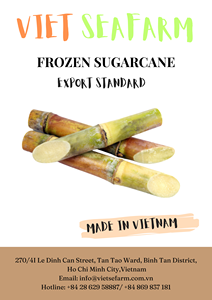 Top Quality Frozen Sugarcane Vietnam Supplier Affordable Wholesale Ready for Export - Product Image 3