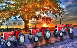 Massey Ferguson MF 360, 2wd, en venta - Product Image 6