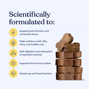 Suplemento Multivitamínico Premium en Tabletas Masticables que Favorece la Salud de la Piel, el Pelaje, las Articulaciones y el Sistema Inmunitario en Perros y Gatos, Fabricante OEM ODM, Exportación - Product Image 5