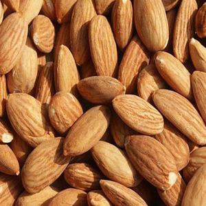 Amandes crues séchées biologiques / Noyaux d'amandes / Amandes de haute qualité en gros - Product Image 4