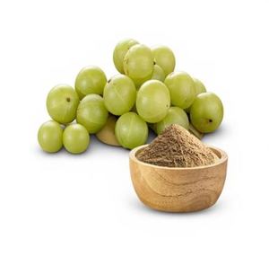 Polvo de Amla de Alta Calidad, Extracto Herbal Puro, Polvo de Amla Natural, Potenciador Nutricional a Base de Plantas, Precio al por Mayor - Product Image 1