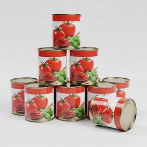 Base de puré de tomate procesado con pasta de tomate enlatada en latas de fácil apertura para compradores internacionales de supermercados y servicios de catering - Product Image 4