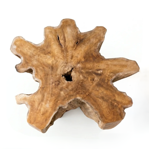Modern Organic Solid Teak <b>Root</b> <b>Coffee</b> <b>Table</b> Unique Live Edge Rustic Style Handmade Premium Natural Wood Furniture - Product Image 2