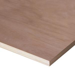 Contrachapado de Álamo de Grado Profesional con Superficie Lisa, Alta Resistencia y Rendimiento Duradero - Product Image 2