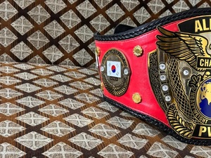 Ceinture de championnat PWF ALL ASIA MMA - Légère, en alliage de zinc, unisexe - Product Image 6