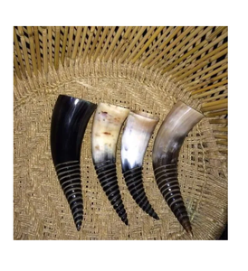 Buffalo <b>Decorative</b> Horn Item Pairs Natural Large Horn Buffalo Polished Handcrafted Pair <b>Decorative</b> Item - Product Image 1