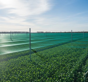 Green <b>Plastic</b> Shade Net UV Stabilized Garden Crop Protection <b>Mesh</b> Custom Cut Farm Cover - Product Image 1