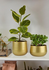 Pot de fleurs en métal de qualité supérieure, prix abordable, décoratif, pour plantes d'intérieur, jardin et usage domestique - Product Image 5