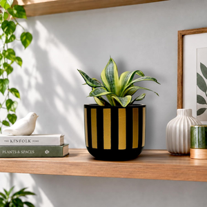 Maceta de Terracota Artesanal con Rayas Negras y Doradas, Maceta Decorativa de Lujo con Orificio de Drenaje para Interiores - Product Image 5