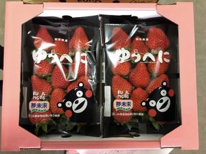 Fresas Japonesas Frescas de Excelente Calidad, Seleccionadas con Rigor - Product Image 5