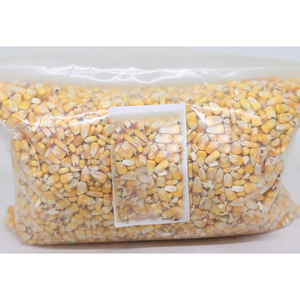Maïs jaune de haute qualité à vendre, aliments pour animaux, prix du maïs jaune par tonne, maïs jaune pour l'alimentation animale - Product Image 2